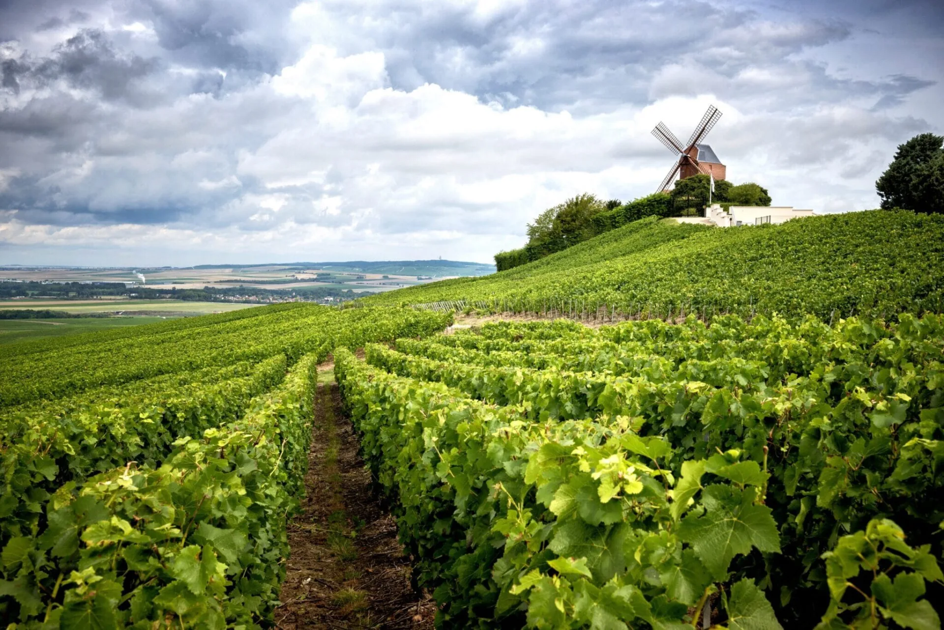 Champagne Tour: Secrets of Sparkling Grandeur (12h)