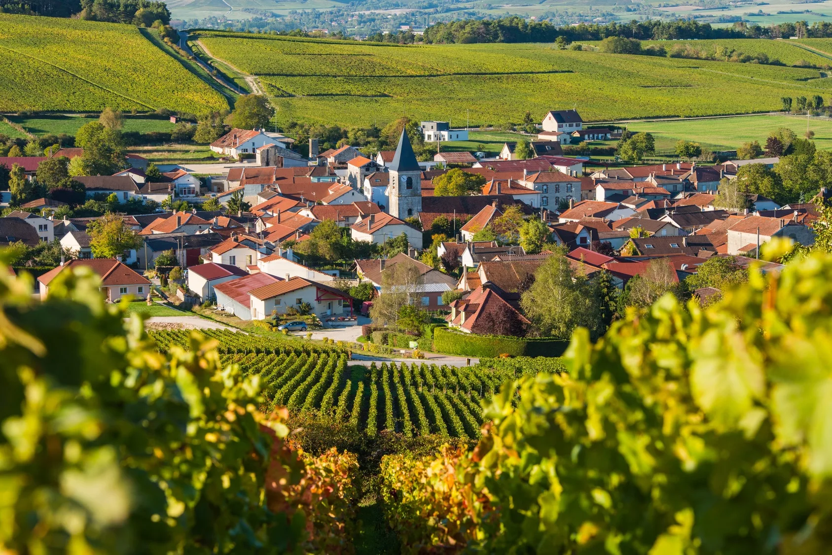 Champagne Tour: Secrets of Sparkling Grandeur (12h)