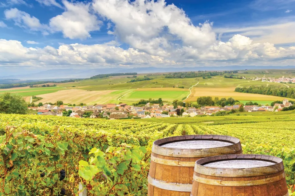 Champagne Tour: Secrets of Sparkling Grandeur (12h)