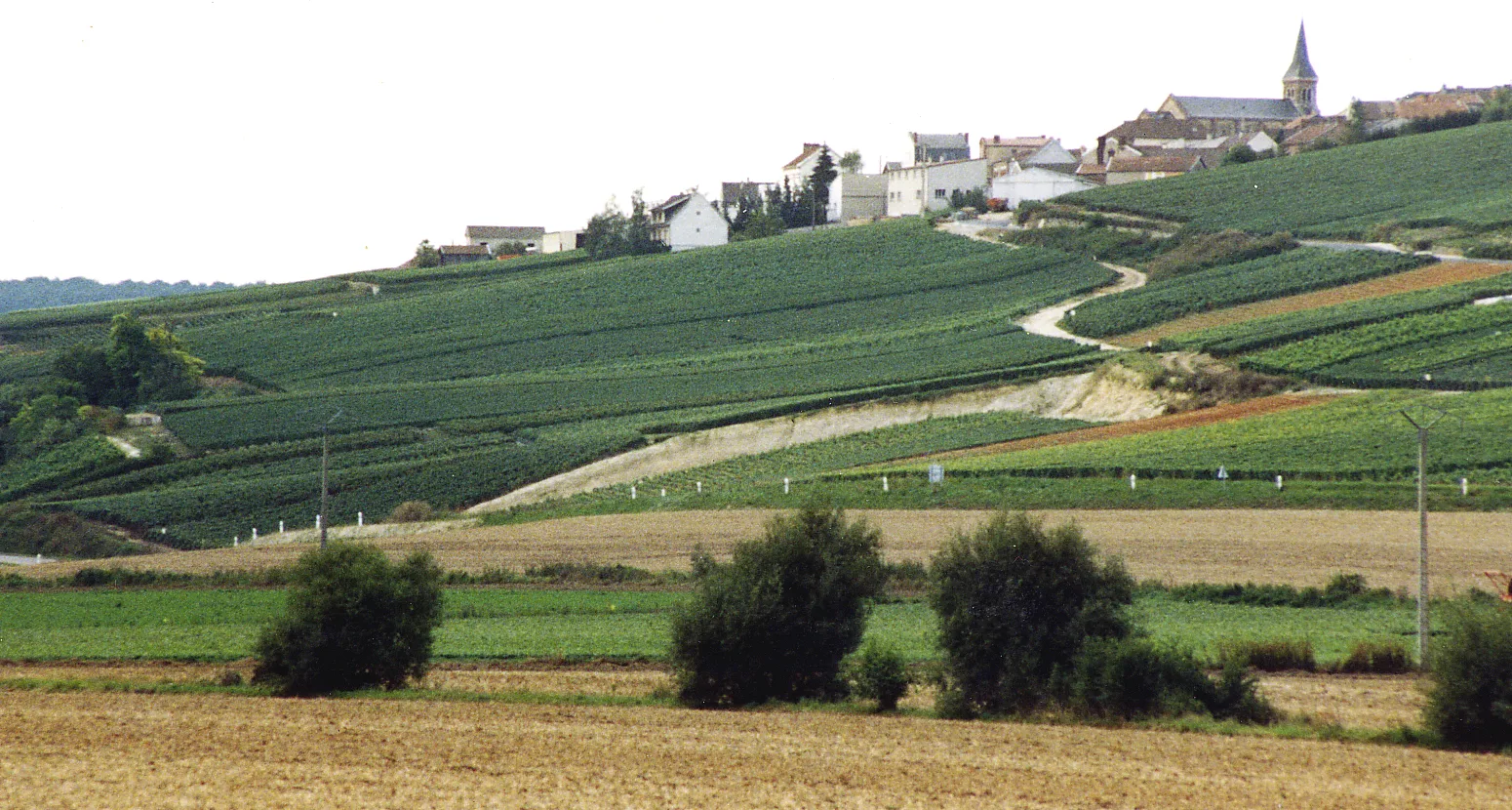 Champagne Tour: Secrets of Sparkling Grandeur (12h)