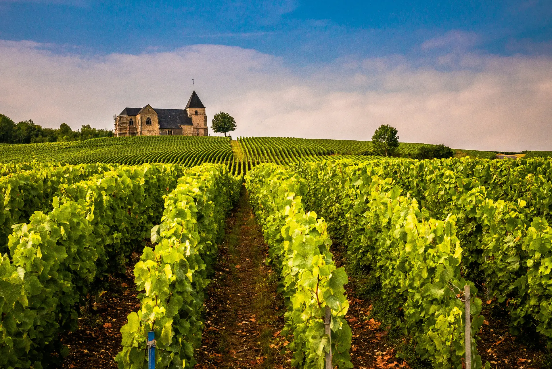 Champagne Tour: Secrets of Sparkling Grandeur (12h)