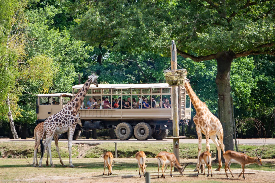 Thoiry Safari Park: An Encounter with Wildlife and the Secrets of an Ancient Castle (5h)