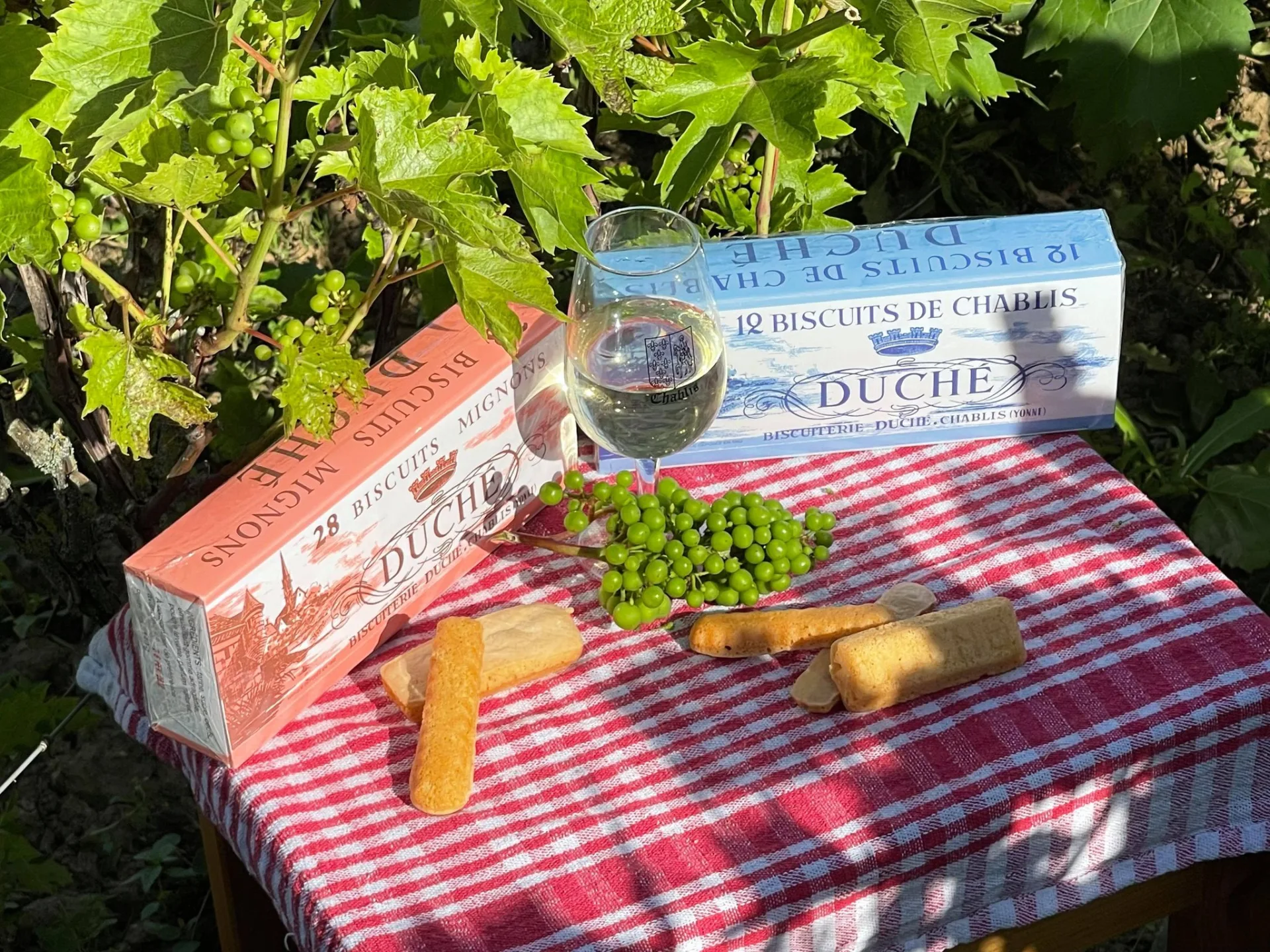 Two-Day Trip to Burgundy and Champagne: A Taste of France
